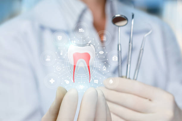 Best Full Mouth Reconstruction  in Lexington Park, MD